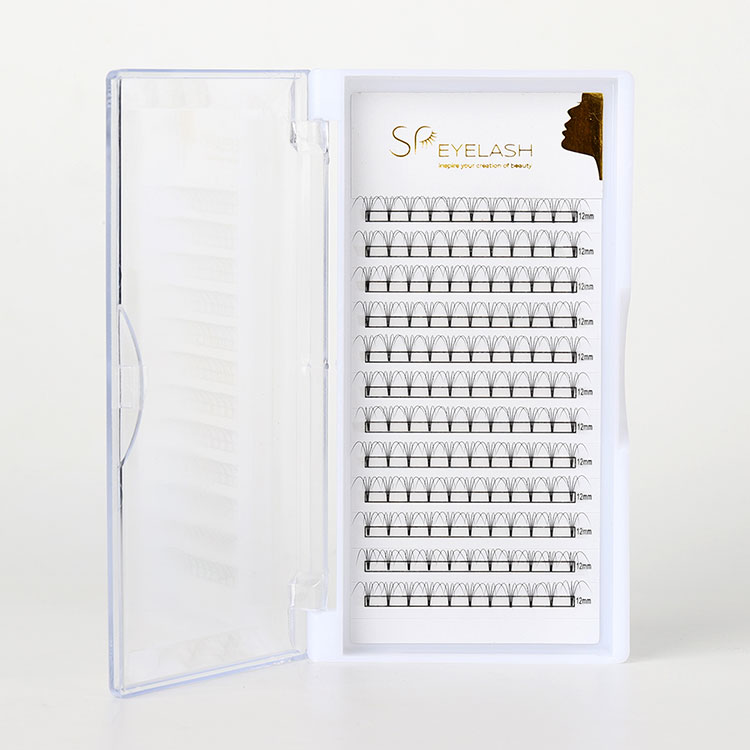 ప్రొఫెషనల్ లాష్ ఎక్స్‌టెన్షన్‌ల భవిష్యత్తును ప్రీమేడ్ ఫ్యాన్ లాష్‌లు ఎందుకు రూపొందిస్తున్నాయి?